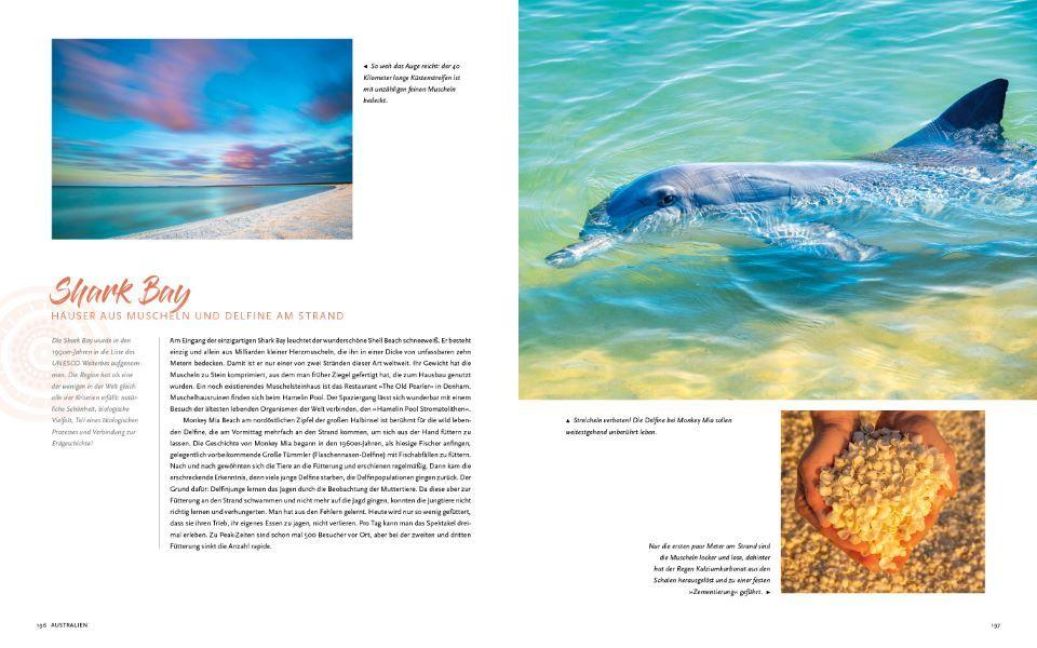 InsideView 10