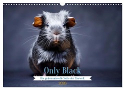 Cover-Bild zum Titel 'Only Black (Wandkalender 2026 DIN A3 quer), CALVENDO Monatskalender' von 'Daniela Tapper'