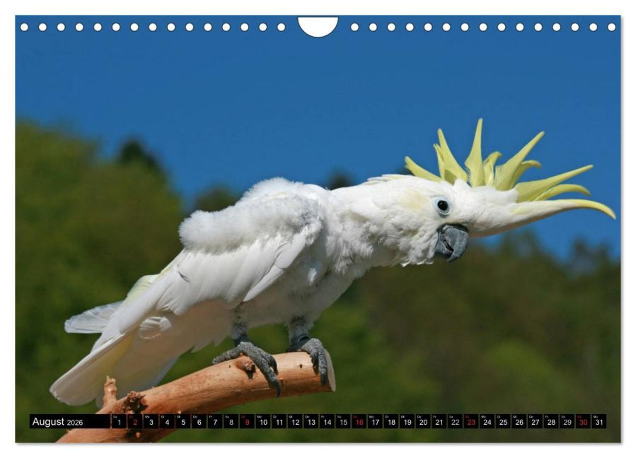 InsideView 13