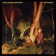 Cover-Bild zum Titel 'Crocodiles' von 'Echo & The Bunnymen'