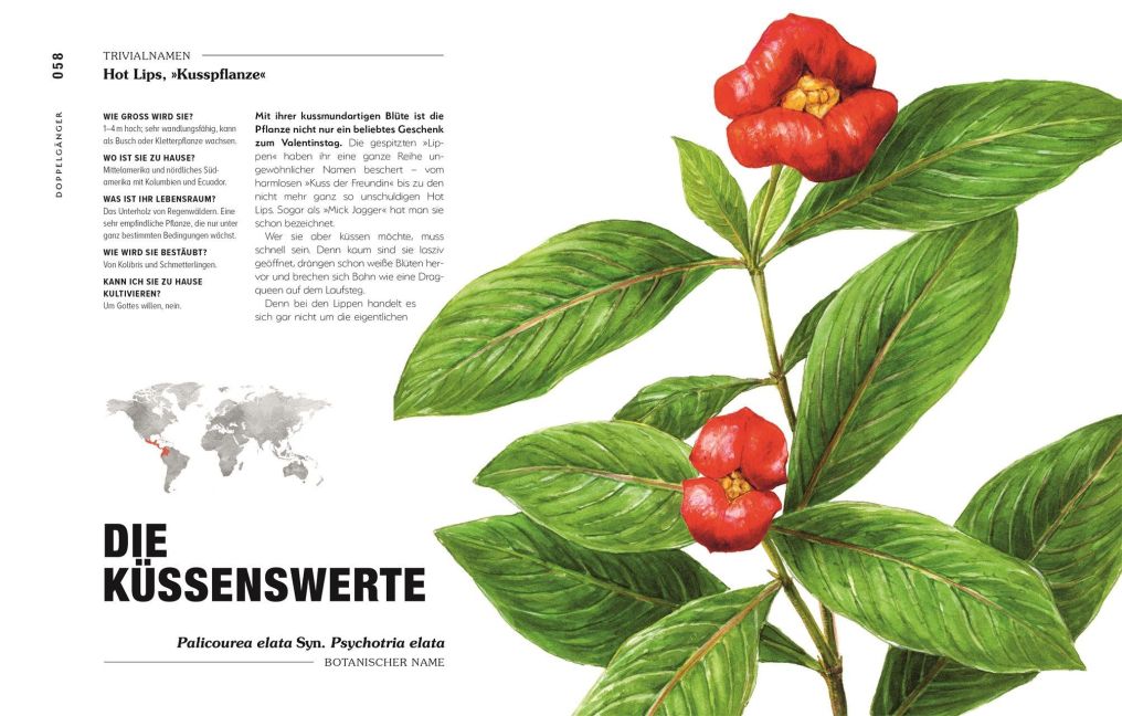 InsideView 5