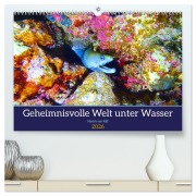 Cover-Bild zum Titel 'Geheimnisvolle Welt unter Wasser - Nachts am Riff (hochwertiger Premium Wandkalender 2026 DIN A2 quer), Kunstdruck in Hochglanz' von 'Andrea Hess'