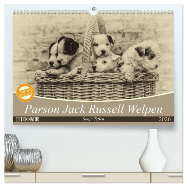 Parson Jack Russel Welpen (hochwertiger Premium Wandkalender 2026 DIN A2 quer), Kunstdruck in Hochglanz - Sonja Teßen