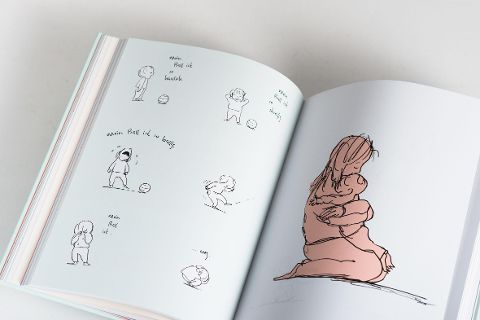 InsideView 5