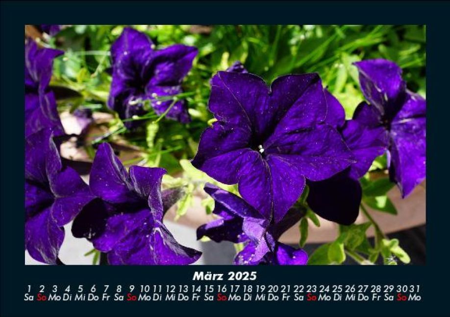 InsideView 7
