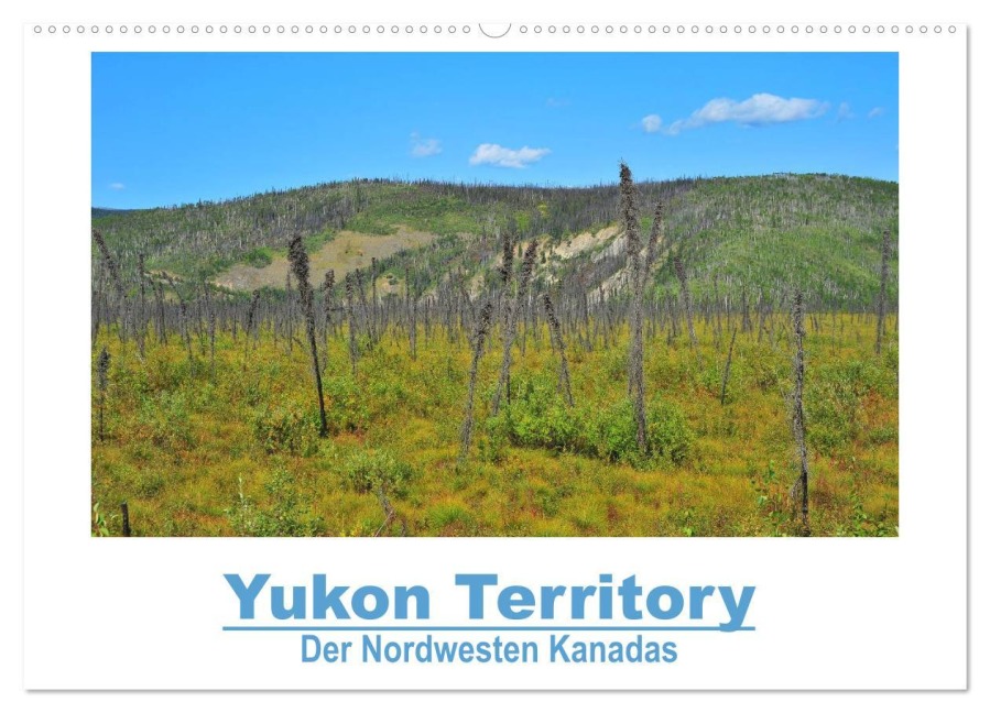 Yukon Territory - Der Nordwesten Kanadas (Wandkalender 2026 DIN A2 quer), CALVENDO Monatskalender - Frank Selzam