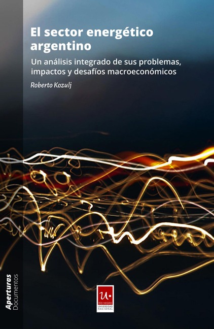 El sector energético argentino - Roberto Kozulj
