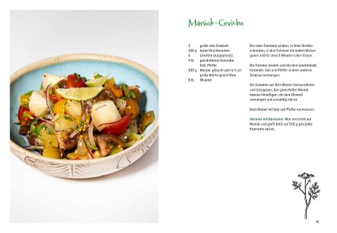 InsideView 6