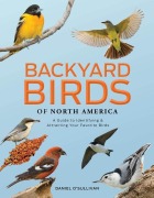 Cover-Bild zum Titel 'Backyard Birds of North America' von 'Daniel O'Sullivan'