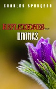 Cover-Bild zum Titel 'Reflexiones Divinas' von 'Charles H. Spurgeon'