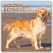 Cover-Bild zum Titel 'Golden Retrievers - Golden Retriever 2027 - 16-Monatskalender' von 'Browntrout Publishers'