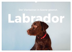 Cover-Bild zum Titel 'Labrador - Der Vierbeiner in Szene gesetzt. (Wandkalender 2026 DIN A2 quer), CALVENDO Monatskalender' von 'M. Scott'