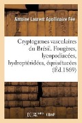 Cryptogames Vasculaires Du Brésil. Fougères, Lycopodiacées, Hydroptéridées, Équisétacées - Antoine Laurent Apollinaire Fée, Auguste François Marie Glaziou