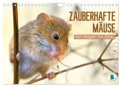 Cover-Bild zum Titel 'Zauberhafte Mäuse: Von wegen nur Grau (Wandkalender 2026 DIN A4 quer), CALVENDO Monatskalender' von 'Calvendo Calvendo'