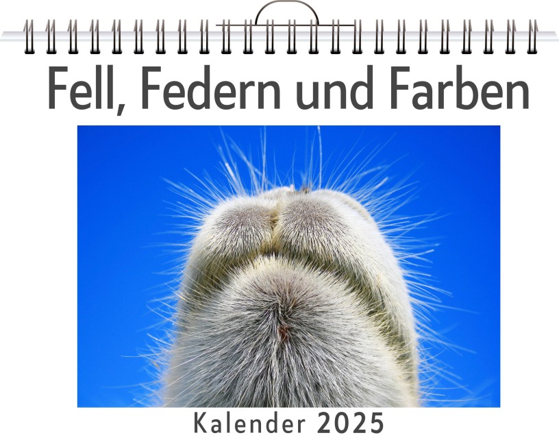 Fell, Federn und Farben - Luca Vogel