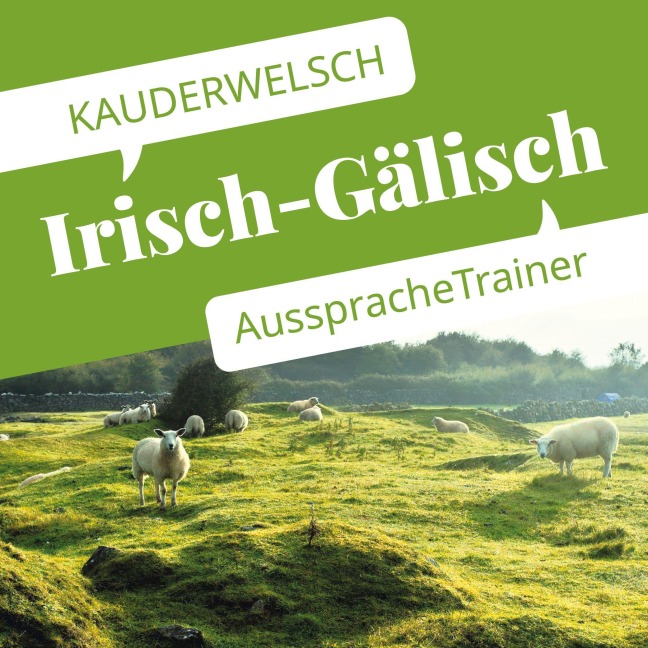 Reise Know-How Kauderwelsch AusspracheTrainer Irisch-Gälisch - Lars Kabel