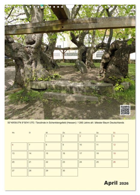 InsideView 9