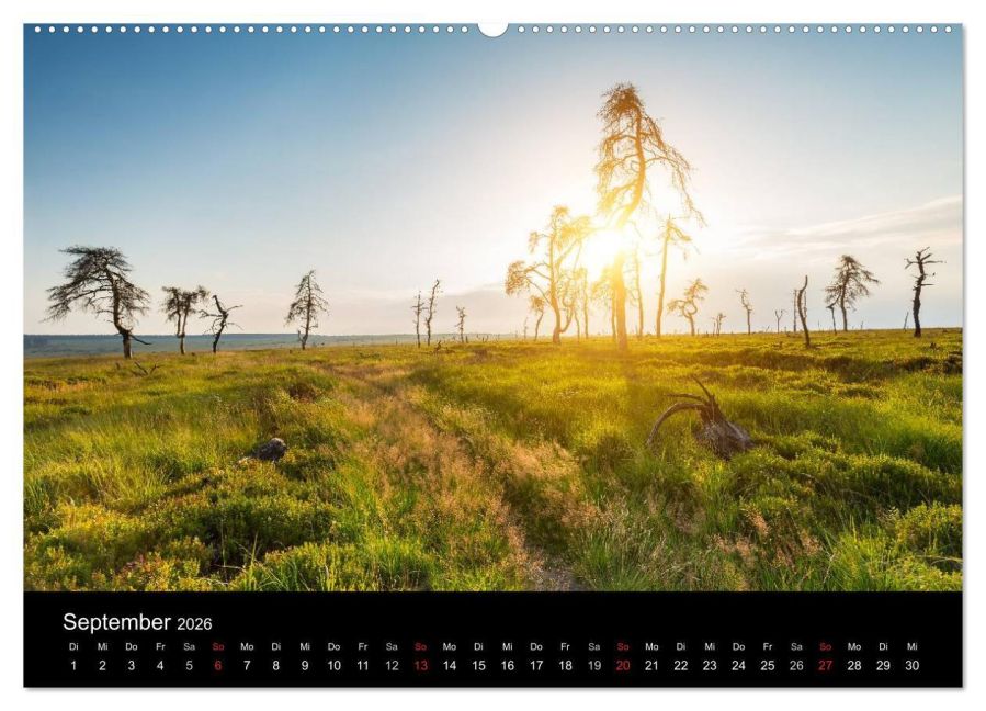 InsideView 13