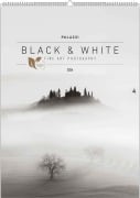Cover-Bild zum Titel 'Black & White 2026 - Bildkalender 50x70 cm - Wandkalender XL - schwarz-weiß - Kunst - Hochformat - Palazzi' von ''