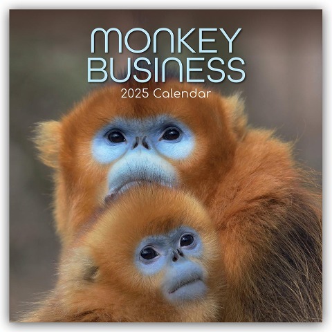 Monkey Business 2025 - 16-Monatskalender - The Gifted Stationery Co. Ltd