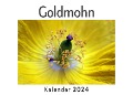 Goldmohn (Wandkalender 2024, Kalender DIN A4 quer, Monatskalender im Querformat mit Kalendarium, Das perfekte Geschenk) - Anna Müller