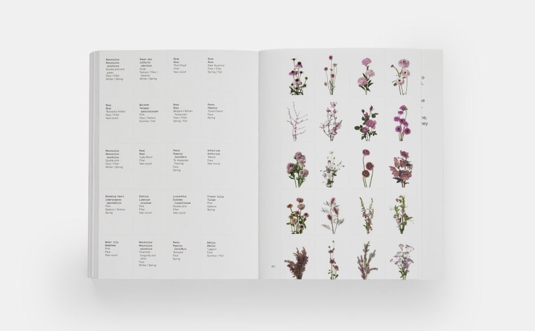 InsideView 10