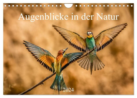 Augenblicke in der Natur (Wandkalender 2024 DIN A4 quer), CALVENDO Monatskalender - Philipp Masserer