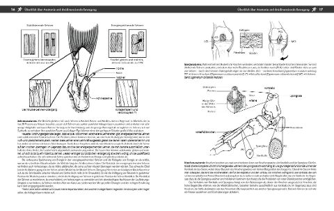 InsideView 5