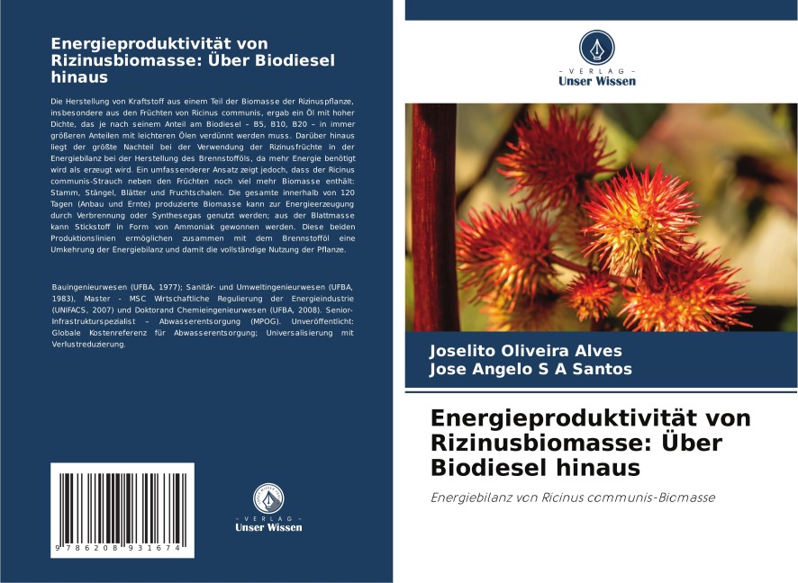 Energieproduktivität von Rizinusbiomasse: Über Biodiesel hinaus - Joselito Oliveira Alves, José Angelo S A Santos