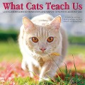 What Cats Teach Us 2025 12 X 12 Wall Calendar - Willow Creek Press