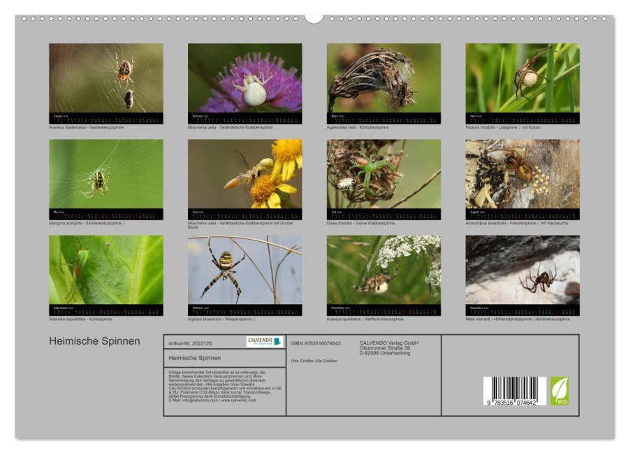 InsideView 4