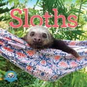 Cover-Bild zum Titel 'Original Sloths Wall Calendar 2026' von 'Lucy Cooke, Workman Calendars'