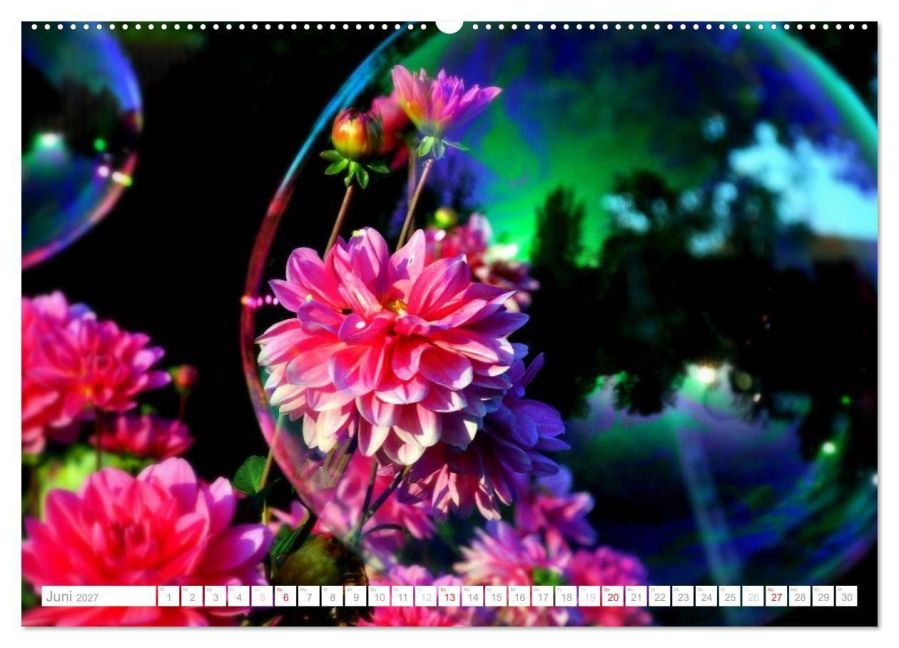 InsideView 10