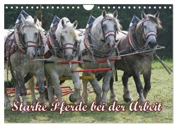 Cover-Bild zum Titel 'Starke Pferde bei der Arbeit (Wandkalender 2027 DIN A4 quer), CALVENDO Monatskalender' von 'Antje Lindert-Rottke'