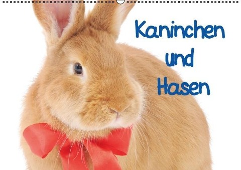 Kaninchen und Hasen (Wandkalender immerwährend DIN A2 quer) - Elisabeth Stanzer