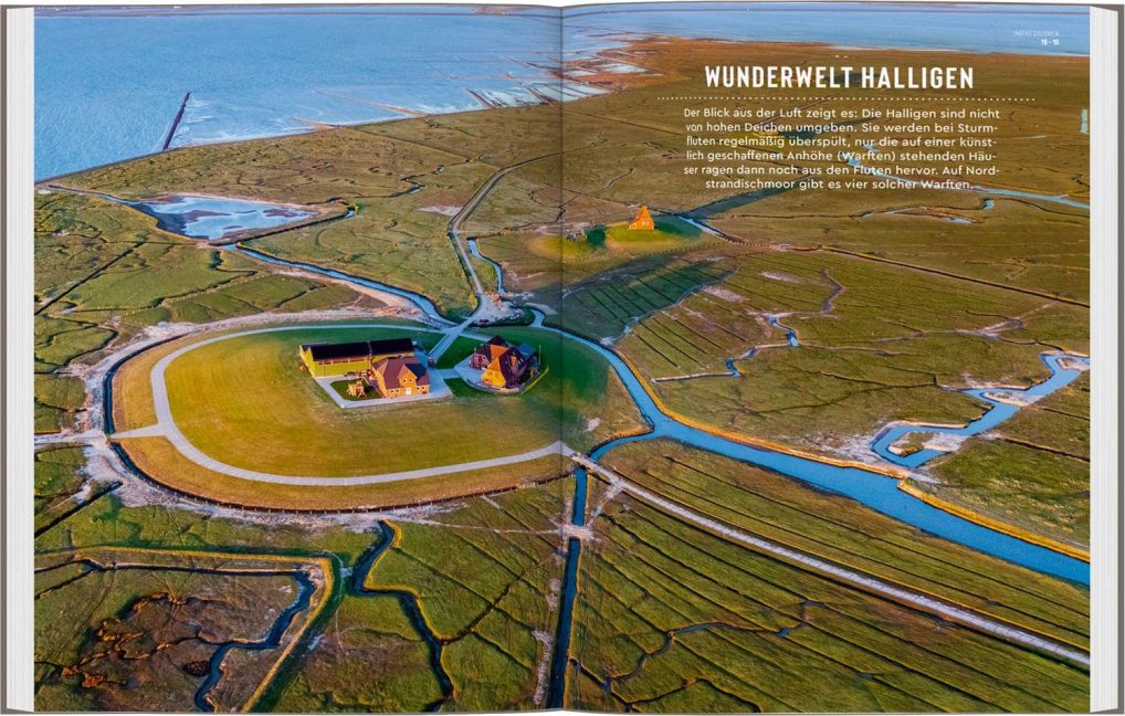 InsideView 4