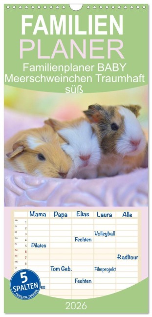 Familienplaner 2026 - Familienplaner BABY Meerschweinchen Traumhaft süß mit 5 Spalten (Wandkalender, 21 x 45 cm) CALVENDO - Sabine Hampe-Neves