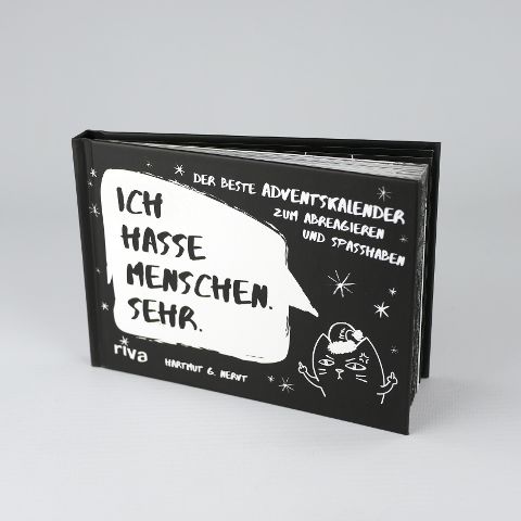 InsideView 1