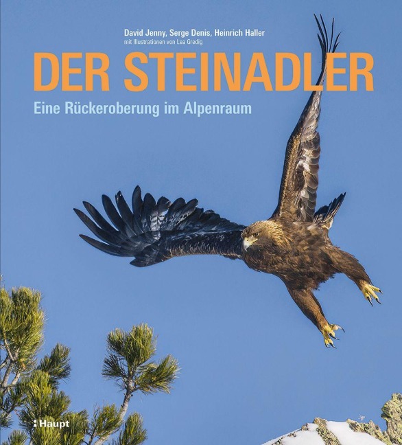 Der Steinadler - David Jenny, Heinrich Haller, Serge Denis