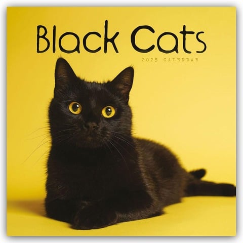 Black Cats - Schwarze Katzen 2025 - Wand-Kalender - Carousel Calendar