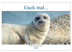 Cover-Bild zum Titel 'Guck mal ... Robben im Wattenmeer (Wandkalender 2026 DIN A3 quer), CALVENDO Monatskalender' von 'Martina Fornal'