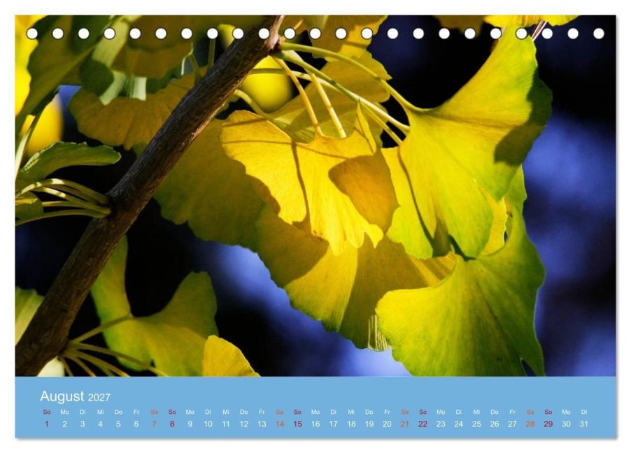 InsideView 13