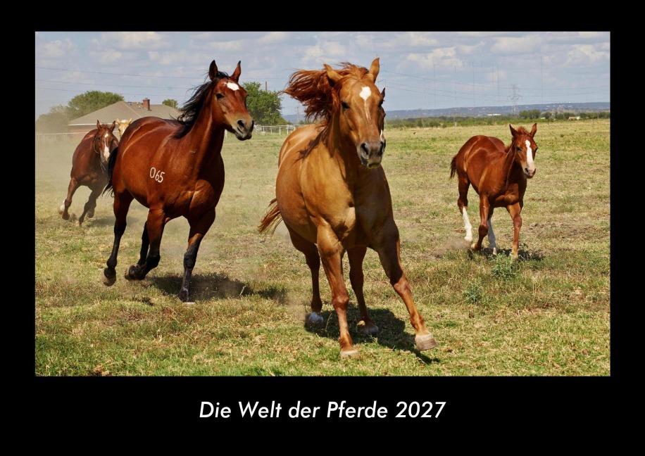 Die Welt der Pferde 2027 Fotokalender DIN A3 - Tobias Becker