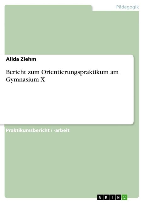 Bericht zum Orientierungspraktikum am Gymnasium X - Alida Ziehm
