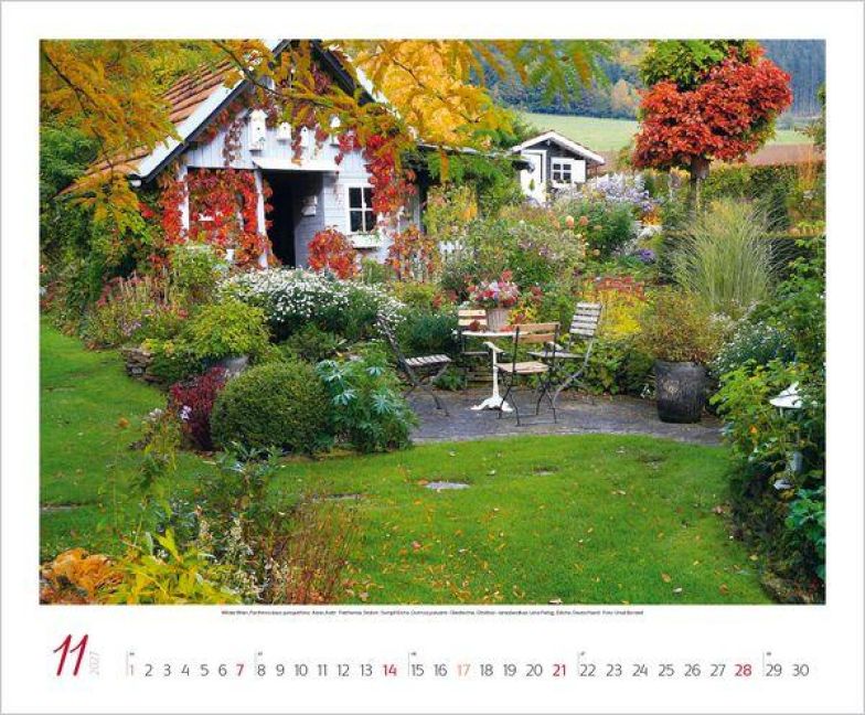 InsideView 11