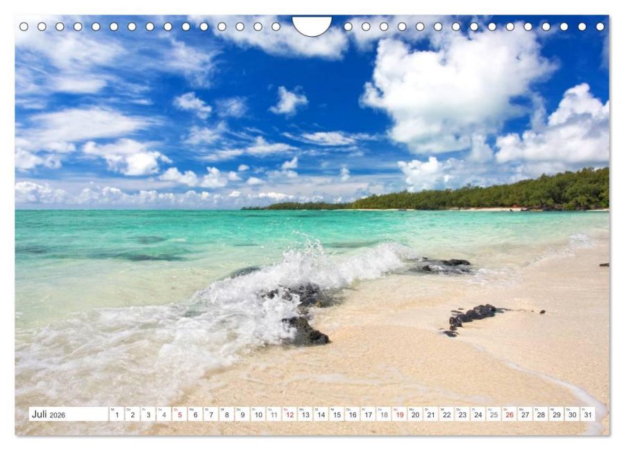 InsideView 12