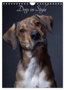 Cover-Bild zum Titel 'Dogs in Style (Wall Calendar 2026 DIN A4 portrait), CALVENDO 12 Month Wall Calendar' von 'Susanne Stark Sugarsweet - Photo'