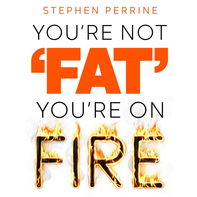 You're Not 'Fat', You're On Fire - Stephen Perrine