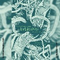Cover-Bild zum Titel 'Entdecker' von 'Raphaela Edelbauer'