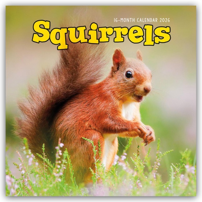 Squirrels - Eichhörnchen 2026 - Wand-Kalender - Carousel Calendar